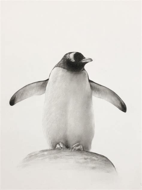 Penguin drawing - Nov 10, 2021 ... 365.1K Likes, 989 Comments. TikTok video from KellyCreates (@kellycreates1): “ ✍️how to draw a cute penguin #learnontiktok #ForzaHorizon5GO ...